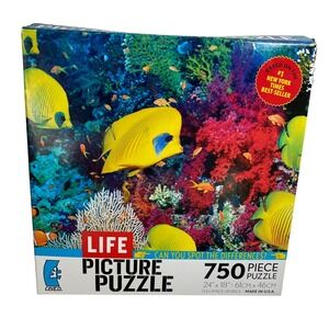 Ceaco Life Picture Puzzle Finding Nemo 750 Piece Jigsaw Coral Reef Fish Complete
